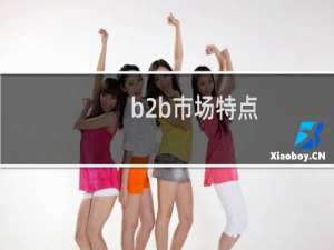 b2b市场特点