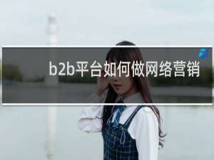 b2b平台如何做网络营销