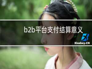 b2b平台支付结算意义