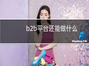 b2b平台还能做什么