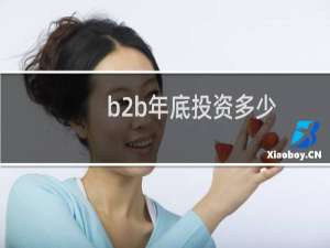 b2b年底投资多少