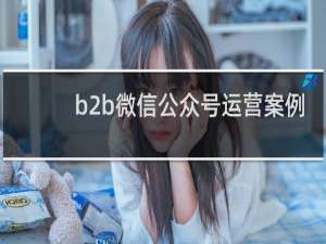 b2b微信公众号运营案例