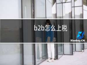 b2b怎么上税