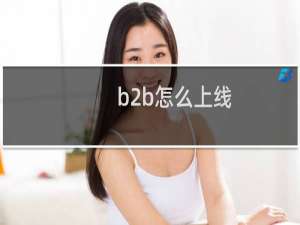 b2b怎么上线