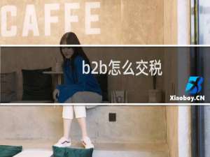 b2b怎么交税