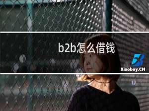 b2b怎么借钱
