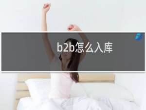 b2b怎么入库
