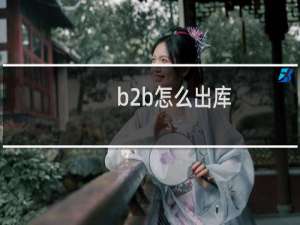 b2b怎么出库