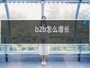 b2b怎么增长