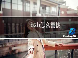 b2b怎么复核