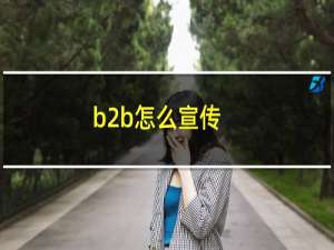 b2b怎么宣传