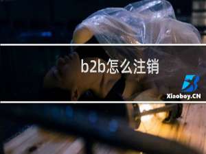b2b怎么注销