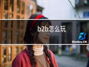b2b怎么玩