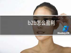 b2b怎么盈利