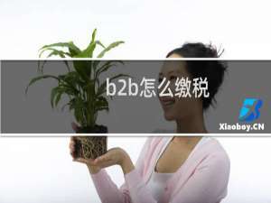 b2b怎么缴税
