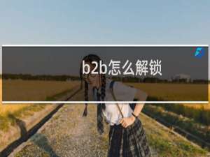b2b怎么解锁