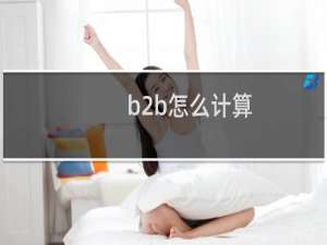 b2b怎么计算