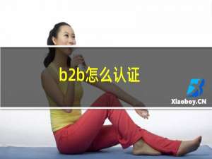 b2b怎么认证