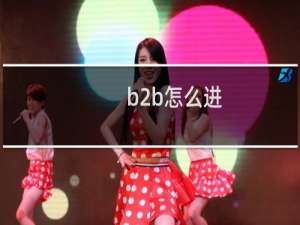 b2b怎么进
