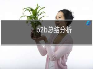 b2b总结分析
