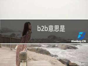 b2b意思是