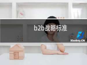 b2b战略标准