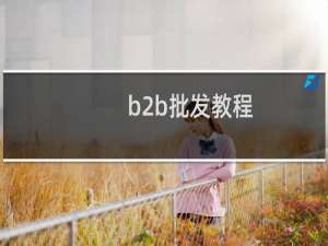 b2b批发教程