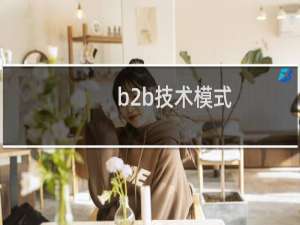 b2b技术模式