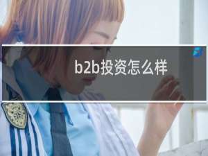b2b投资怎么样