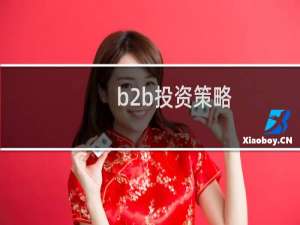 b2b投资策略