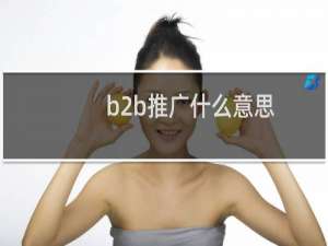 b2b推广什么意思