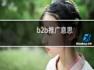 b2b推广意思
