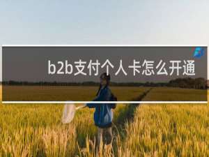 b2b支付个人卡怎么开通