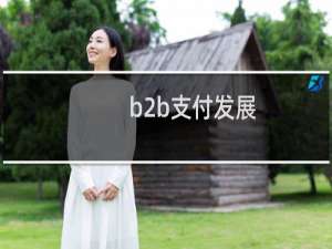 b2b支付发展