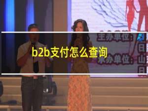 b2b支付怎么查询