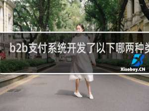 b2b支付系统开发了以下哪两种类型