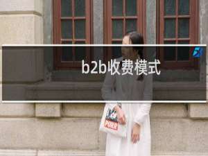 b2b收费模式