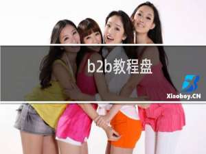 b2b教程盘