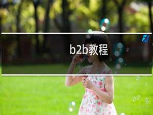 b2b教程
