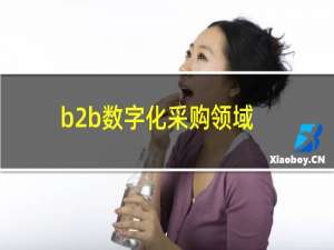 b2b数字化采购领域