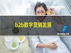 b2b数字营销发展