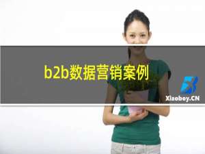 b2b数据营销案例