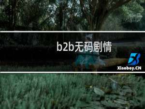 b2b无码剧情