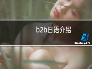 b2b日语介绍