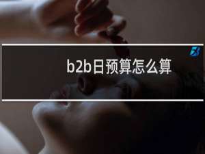 b2b日预算怎么算
