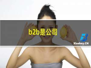 b2b是公司