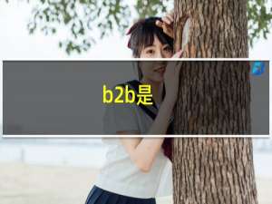 b2b是