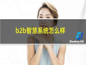 b2b智慧系统怎么样