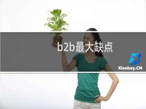 b2b最大缺点