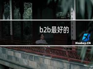b2b最好的